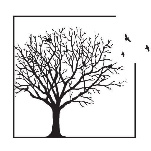 aBolder.Faith tree logo